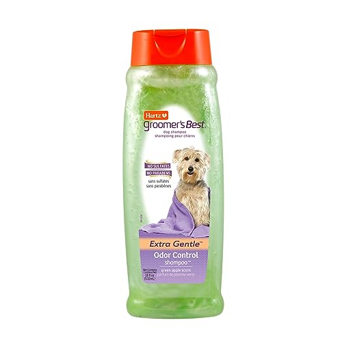 Best Carpet Shampoo for Dog Urine​