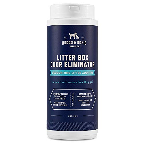 Best Cat Litter Boxes for Smell​