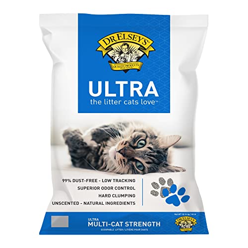 Best Cat Litter That Controls Odor​