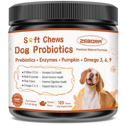 Best Cheapest Probiotic for Senior Dog​