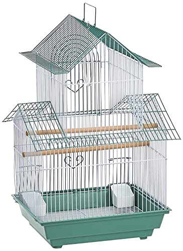 Best Parakeet Bird Cage Set Up​