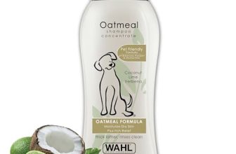 Best Shampoo for a Dog With Itchy Skin​