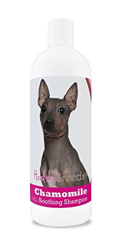 Best Shampoo for Hairless Dogs​