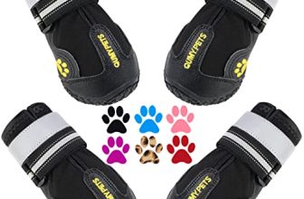 Best Winter Shoes for Dogs​