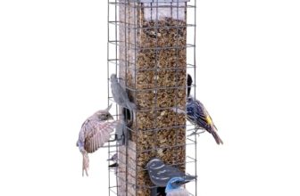 Bird Feeders And Squirrel-Proof​