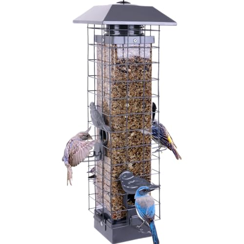 Bird Feeders And Squirrel-Proof​