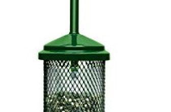 Brown Squirrel Buster Mini Bird Feeder​