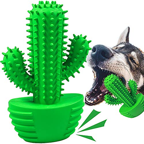 Good Toys for Teething Dogs​