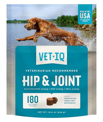 Hip And Joint Supplements for Older Dogs​