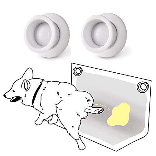 How to Keep Male Dog Pads on Their Back​