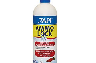 How to Reduce Ammonia in Fish Tank