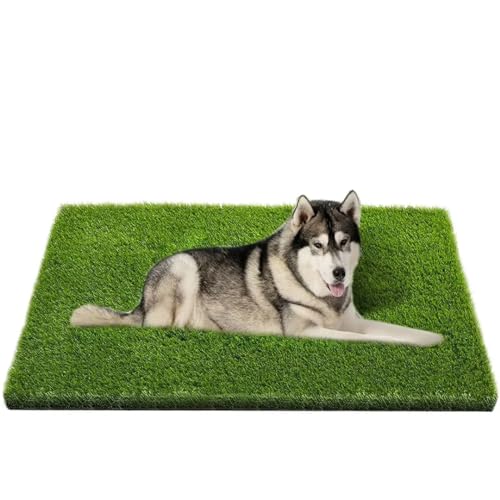 Imitation Grass for Dogs​