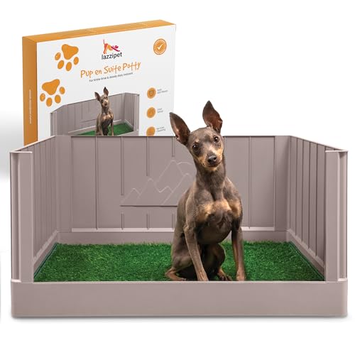 Indoor Bathroom for Dogs​