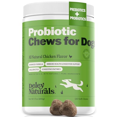 Natural Probiotics for Dogs With Bad Breath​