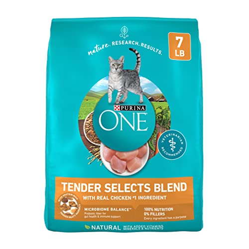 Purina One Easy to Chew Cat Food​