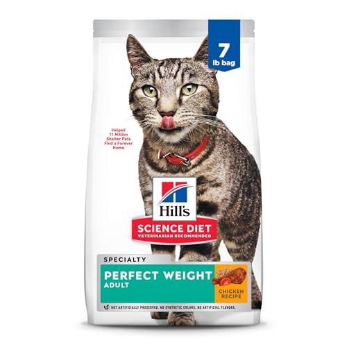 Top Senior Cat Food Weight Control​