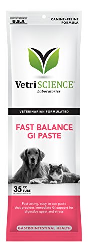 Treat for Dog With Gastro Intestinal Issues