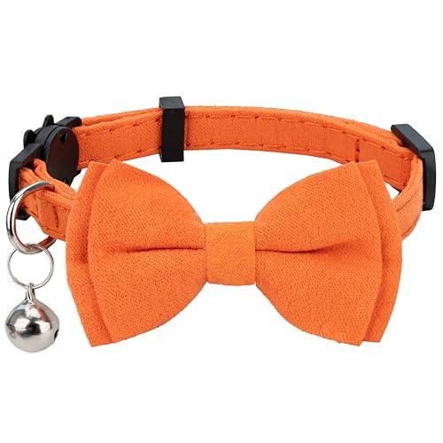 What Color Collar for Orange Cats