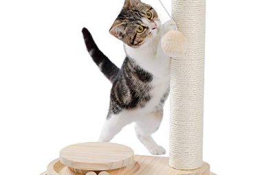 Cat Scratcher Ball Toy Durable Sisal: Ultimate Fun for Indoor Cats