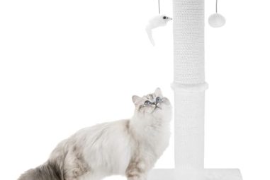 Large Round White Wavy Scratching Post: Perfect for Indoor Cats!