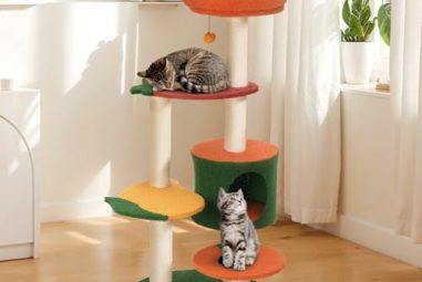 Polly Princess Cat Tree: The Ultimate Fun Haven for Indoor Cats