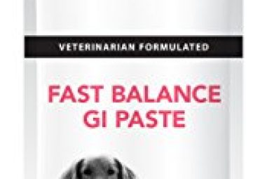 Treat for Dog With Gastro Intestinal Issues: VetriScience Fast Balance GI Paste